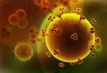 Photo of Эффективное лечение гепатита