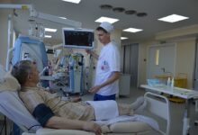 Photo of Анализ крови на уровень мочевины