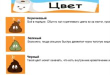 Photo of Анализ кала на наличие паразитов