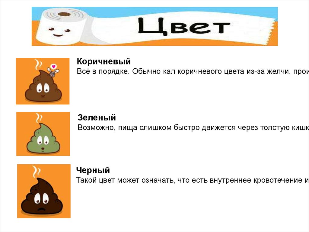 Фото 32 — Анализ кала на наличие паразитов